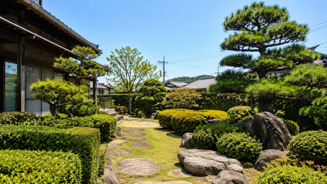 庭木剪定