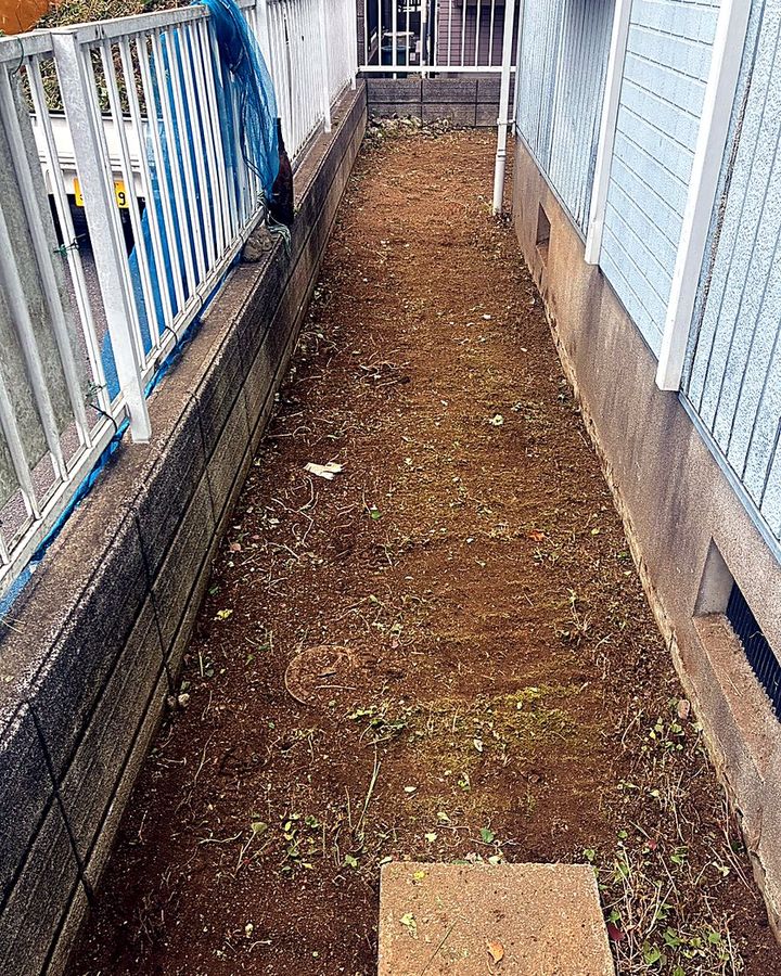 草刈り後の通路まわり