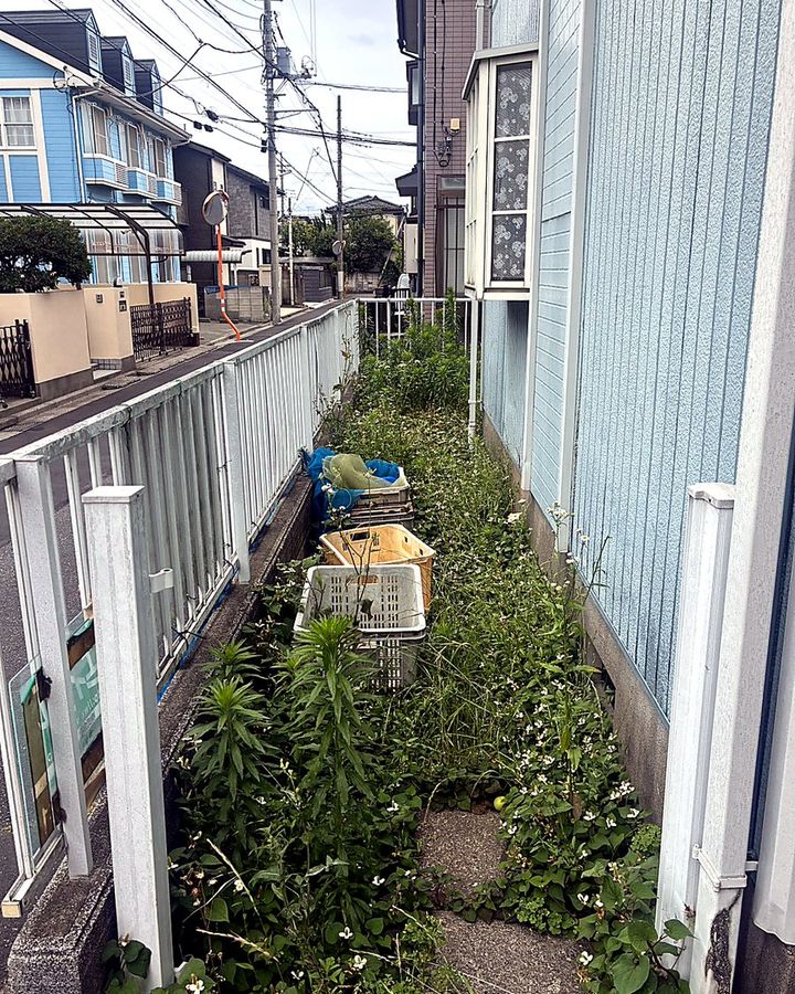 草刈り前の通路まわり