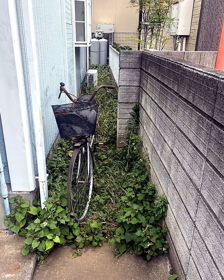 除草前の側道と壁ぎわ