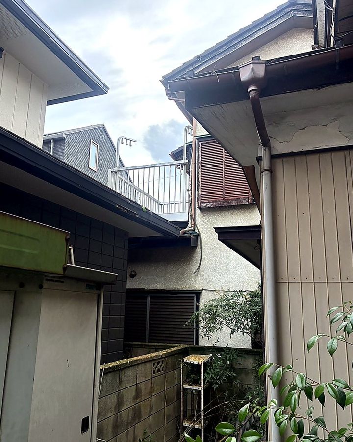剪定後の庭木
