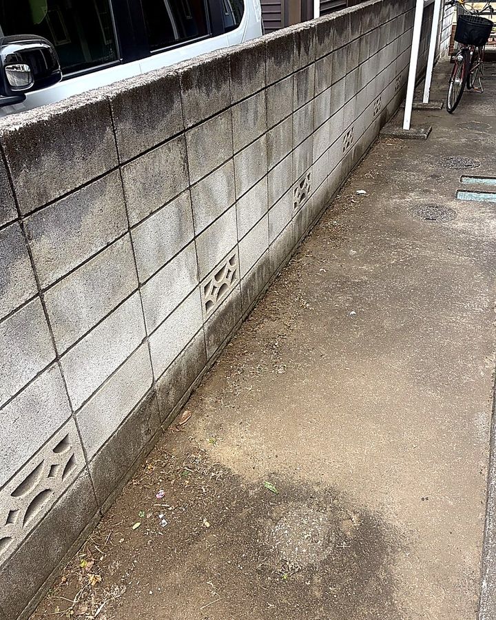 雑草整理後の壁ぎわ